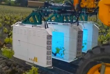 UV boosting prestation viticole par performances vignobles