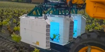 UV boosting prestation viticole par performances vignobles