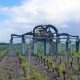 Ecoprotect Cellule S6 Gregoire traitement des vignes à leognan en prestation