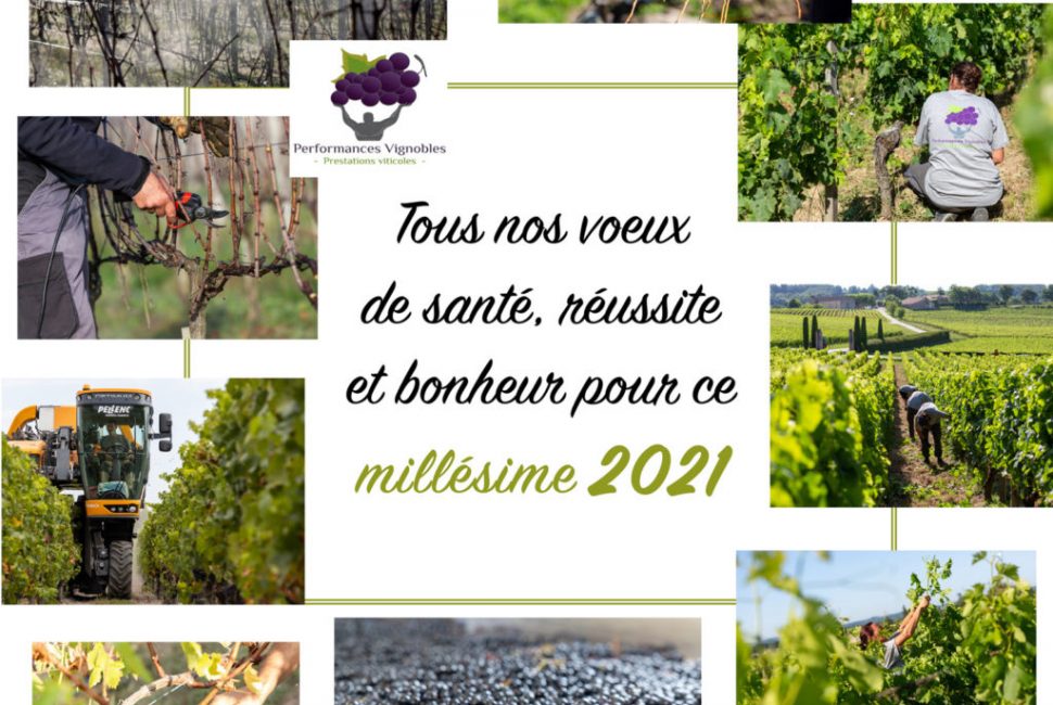 performances-vignobles-voeux-2021-prestataire-viticole-1-1024x1024