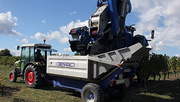 chauffeur de tracteur vendanges