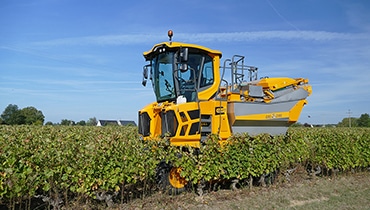 vendangeuse-MAV-Gregoire-GM7-prestataire-saint-emilion