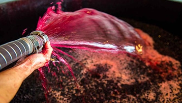 vinifications-prestataire-saint-emilion-performances-vignobles